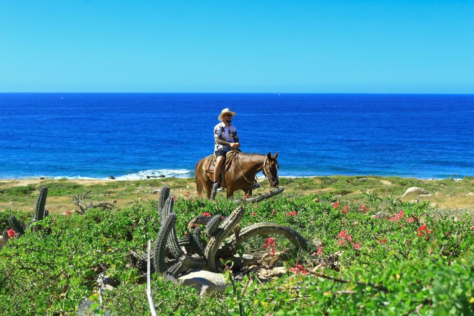 Cabo San Lucas: Horseback Riding Migriño - Customer Review