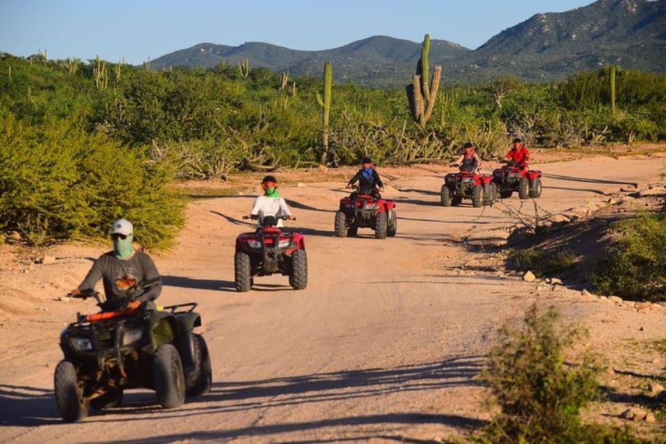 Cabo San Lucas: Migrino Beach & Desert ATV Tour - Common questions