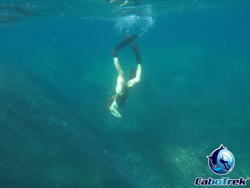 Cabo San Lucas Private Snorkeling Tour - Additional Details