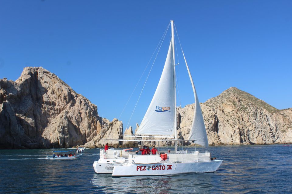 Cabo San Lucas: Whale Watching Experience on Catamaran - Customer Reviews and Information