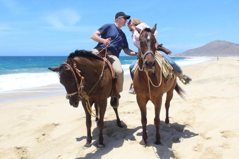 Cabo San Lucas: White Sand Horseback Adventure - Last Words