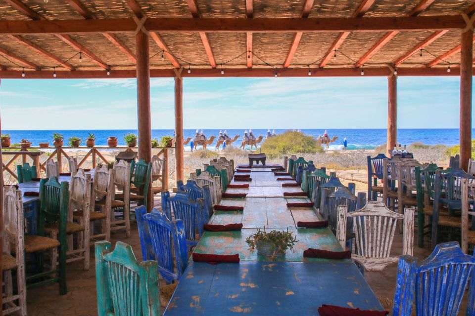 Cabo: Todo Santos Tour With Camel Ranch, Tequila and Lunch - Reviews and Location