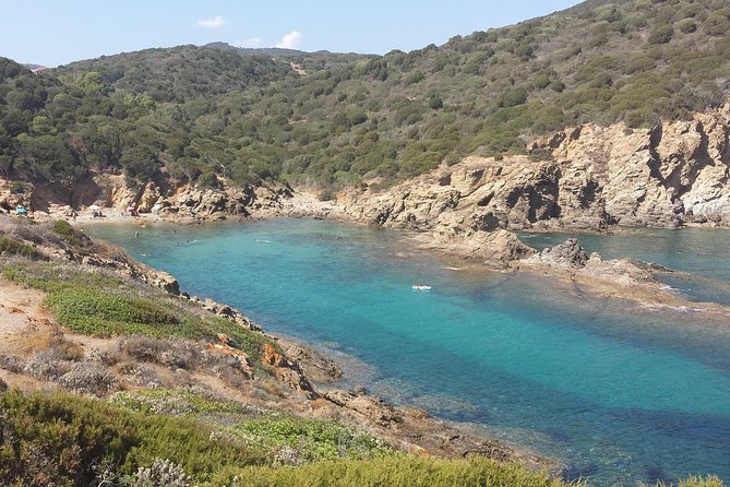 Cagliari: Amazing Jeep Private Tour of Sardinias Hidden Beaches From Chia - Customer Reviews and Responses