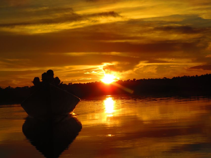 Caimans and Capibara Search on the Tambopata River - Description