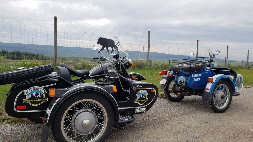 Calgary: Scenic Cochrane and Canmore Sidecar Motorcycle Tour - Tour Highlights