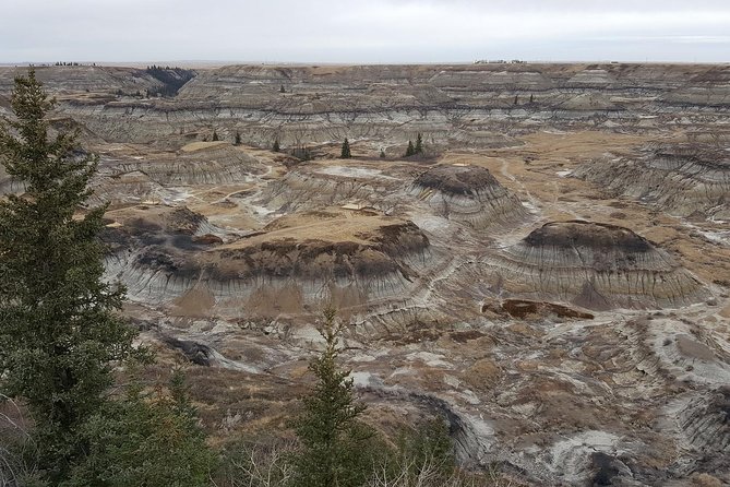 Calgary to Royal Tyrrell Museum Drumheller – PRIVATE TOUR - Background