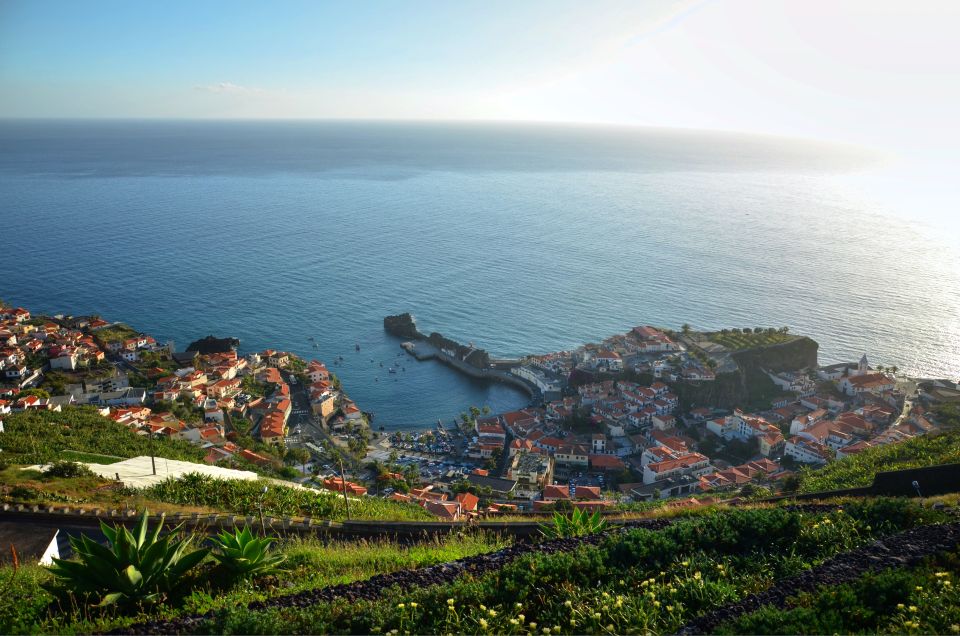 Camara De Lobos: 1.5-Hour Tour in a Tuk Tuk - Booking Information and Tips