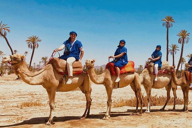 Camel and ATV Ride in the Palmeraie Near Marrakech - Booking Assurance