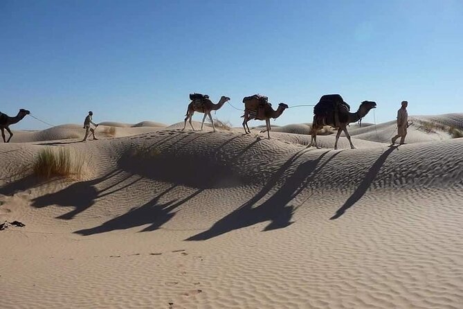 Camel Ride and 1 Night in the Desert - Additional Booking Information