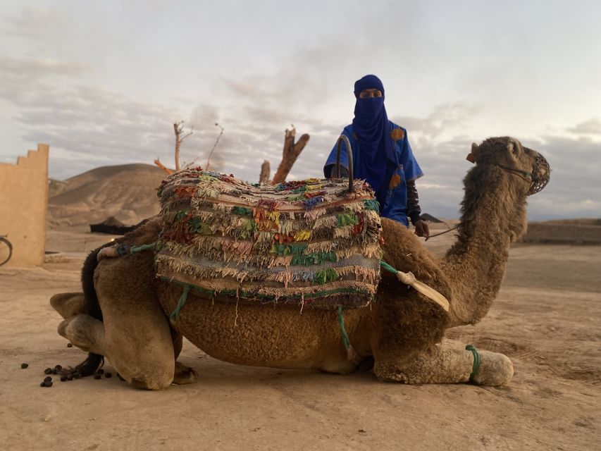 Camel Ride at Agafay Desert With Dinner & Show - Location and Product Information