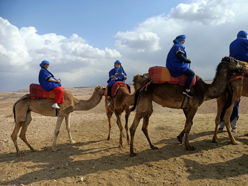 Camel Ride In Agafay Desert - Group Size and Interaction