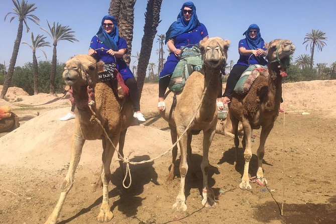 Camel Ride in Marrakech Desert Palmgrove - Booking Information