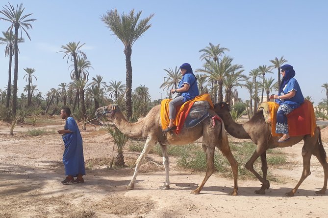 Camel Ride in Palm Groves With Tea Break - Additional Information