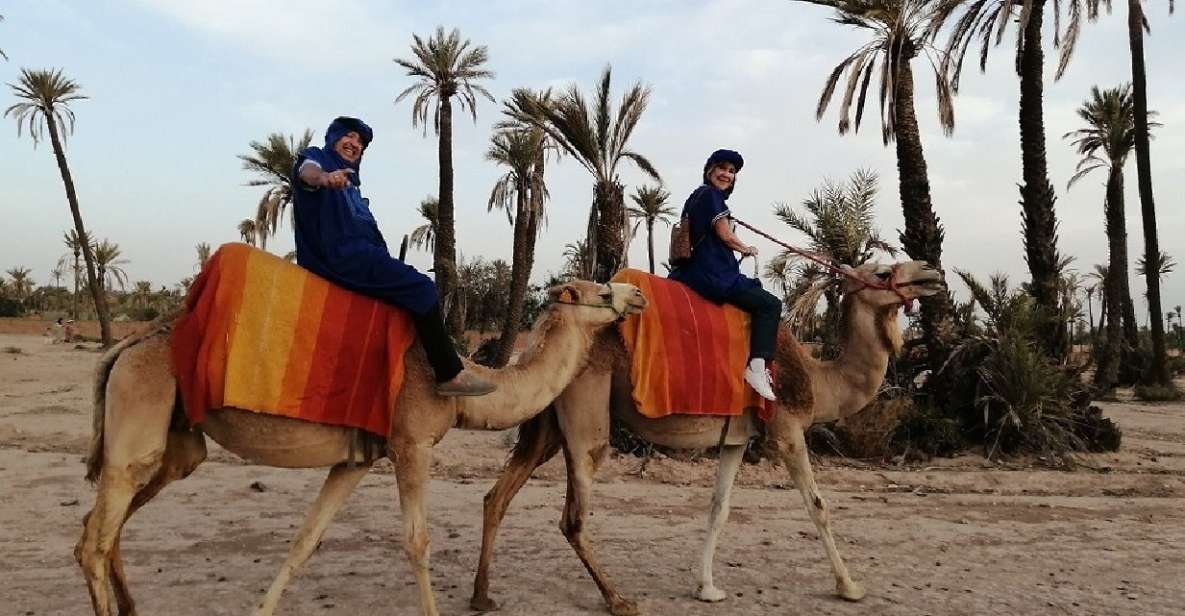 Camel Ride In Palmeraie 1 Hour, With Tea - Additional Information