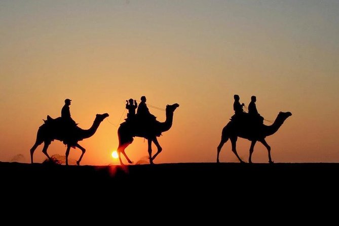 Camel Ride in the AGAFAY DESERT by Sunset Half Day Trip From Marrakech - Logistics and Transfers