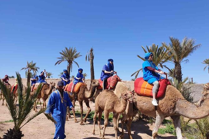 Camel Ride in the Palm Grove of Marrakech - Operator and Group Size