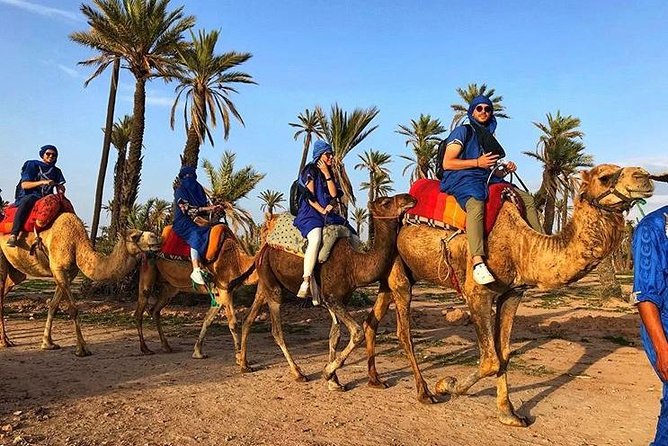 Camel Ride in the Village Berber Palmeraie - Reviews and Ratings