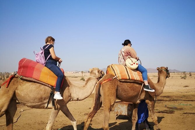 Camel Ride Marrakech Palmeraie - Customer Support and Inquiries