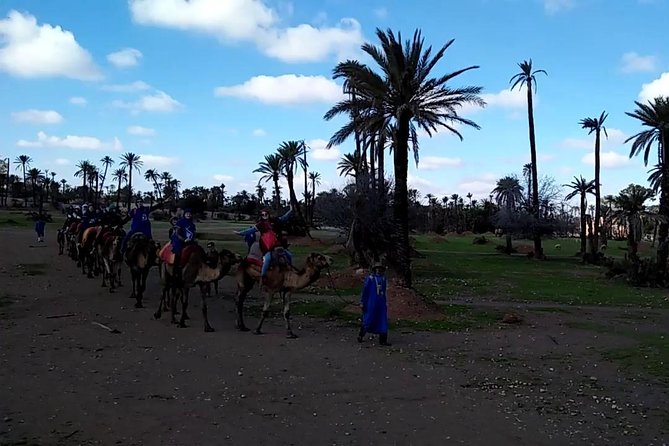 Camel Ride on the Palm Grove Marrakech - Experience Details