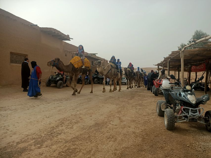 Camel Ride & Quad Tour In Agafay Desert With Lunch - Additional Information