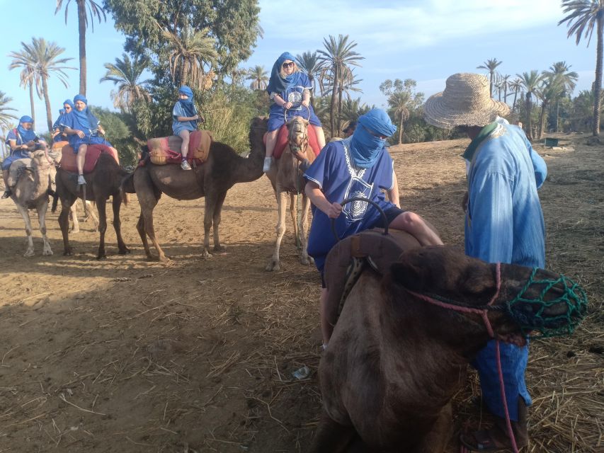 Camel Ride Tour in the Palm Grove of Marrakech - Common questions