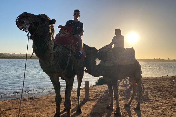 Camel Riding Agadir - Cancellation Policy