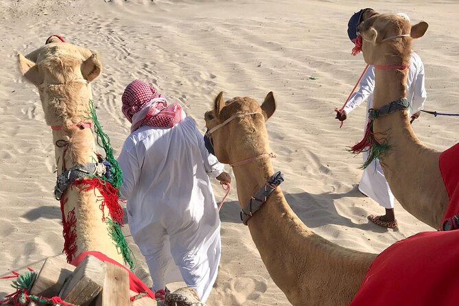 Camel Trekking on the Dunes With Sunset - Customer Experience