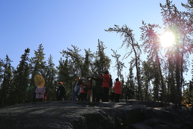 Cameron Falls Hiking Tour - Customer Reviews