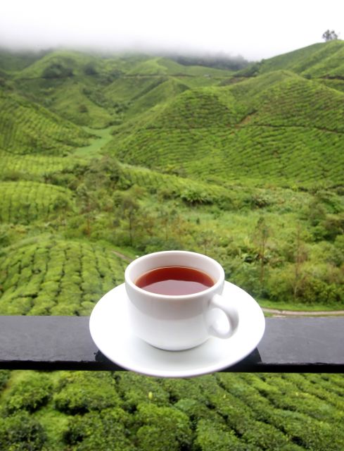 Cameron Highlands 1 Day Tour From Kuala Lumpur - Customer Review
