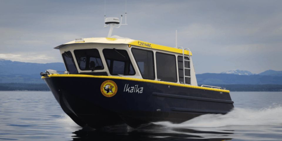 Campbell River: Scenic Sunset Tour By Boat - Additional Information