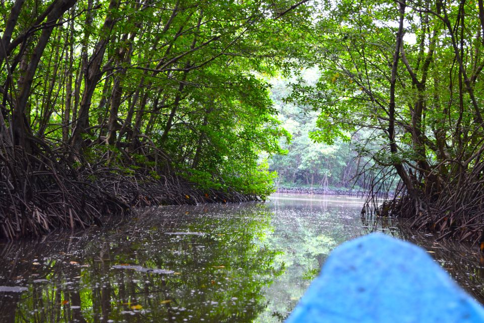 Can Gio Paddleboarding Private Full-Day Trip - Location and Accessibility