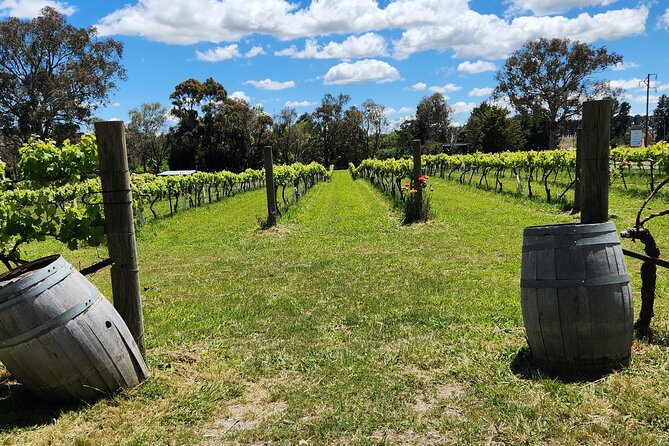 Canberra Wineries Full Day, Electric Vehicle Tour /W Lunch - Booking Information