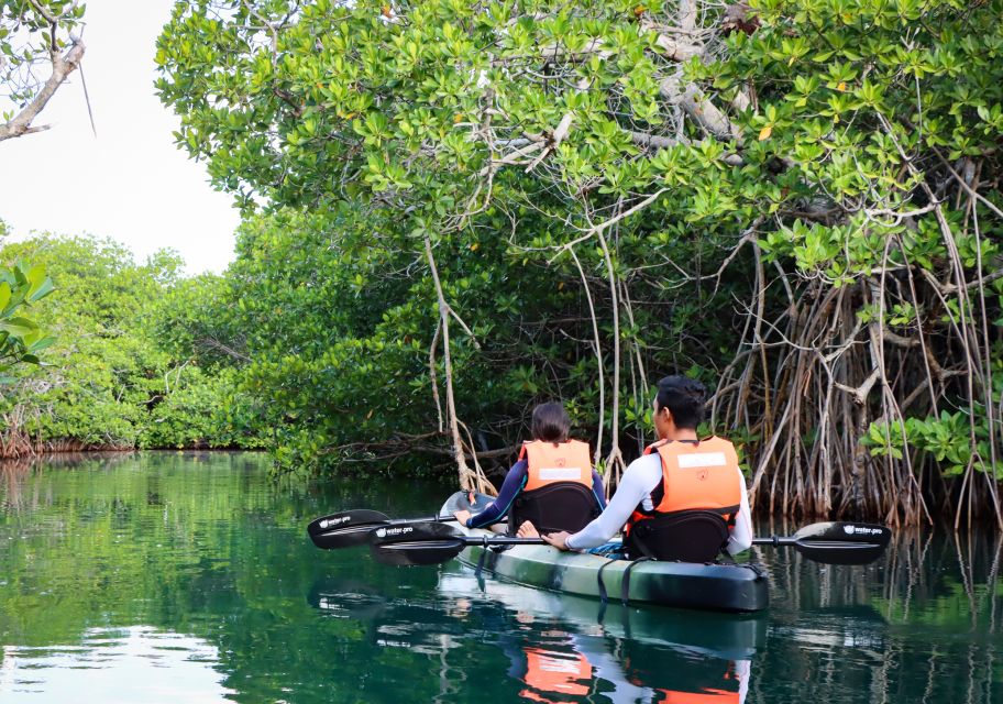 Cancun: Morning Kayak Adventure - Location Details