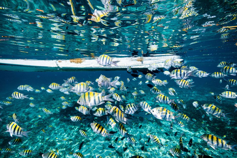 Cancun: Snorkeling Tour for Non-Swimmers - Additional Information