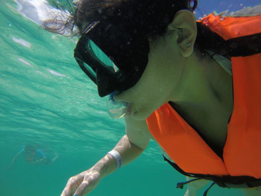 Cancún: Snorkeling With Marine Turtles and Cenote Swim - Customer Benefits