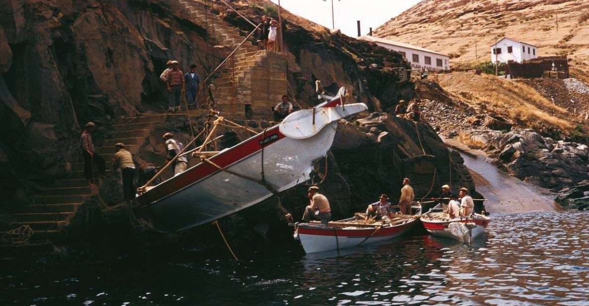 Caniçal: Madeira Whale Museum Entry Ticket and Private Tour - Visit Description