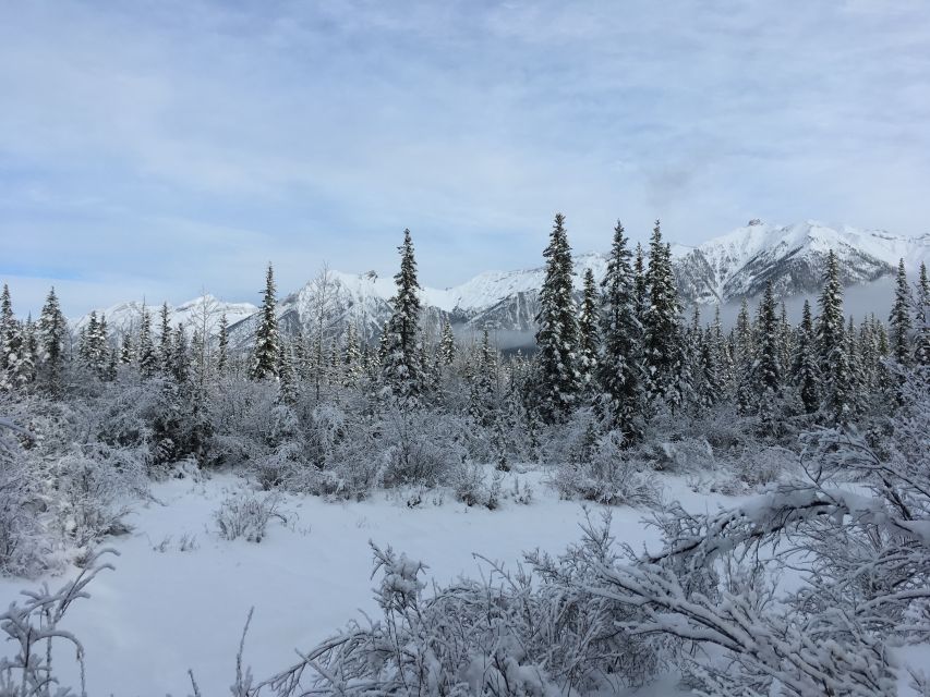 Canmore: Wilderness and Wildlife - Hiking Tours - Reviews