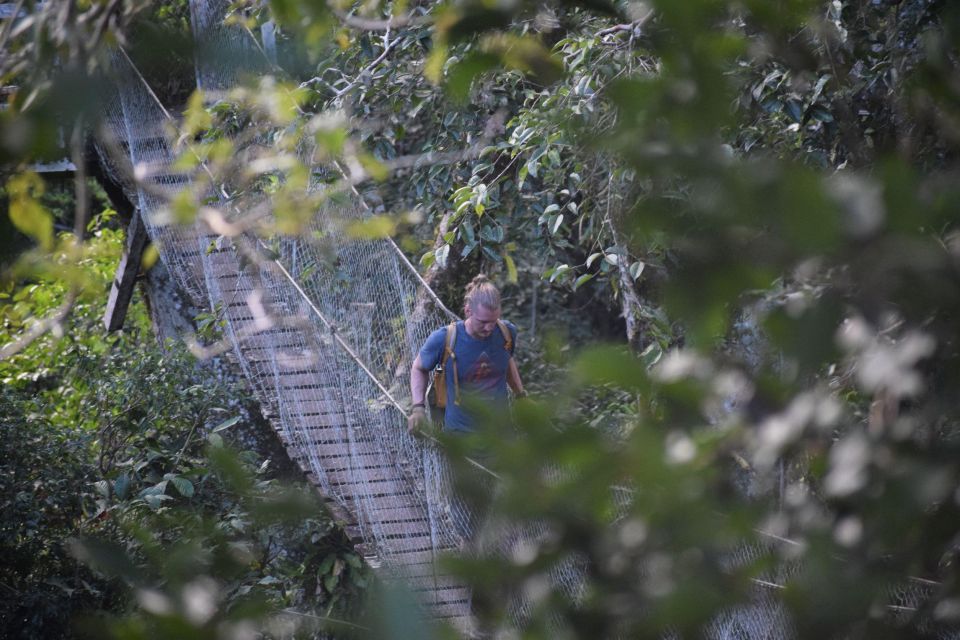 Canopy Walk and Monkey Island - Common questions