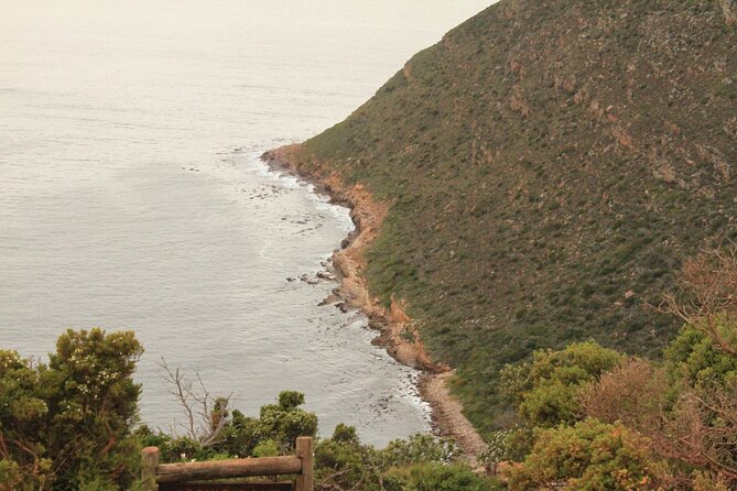 Cape Point and Cape of Good Hope Day Tour up to 10 Persons - Convenient Transportation Details