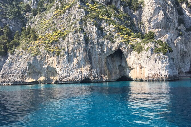 Capri and Blue Grotto by Gozzo Boat and Anacapri From Naples - Pricing and Booking Information