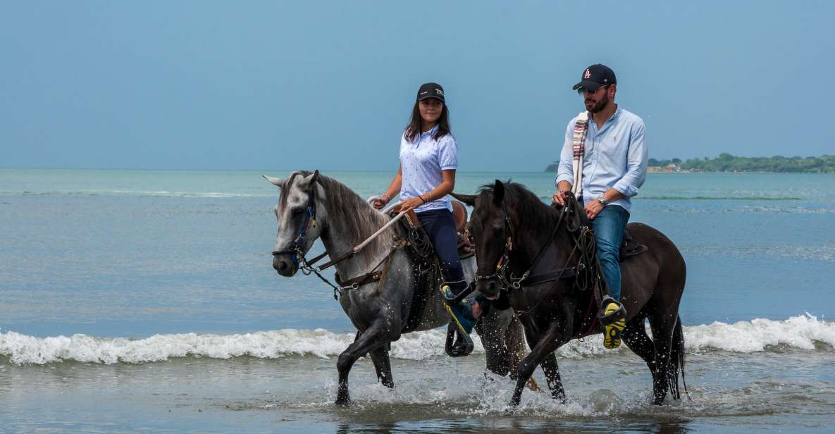 Cartagena: Beach Horse Ride and Colombian Horse Culture - Customer Reviews