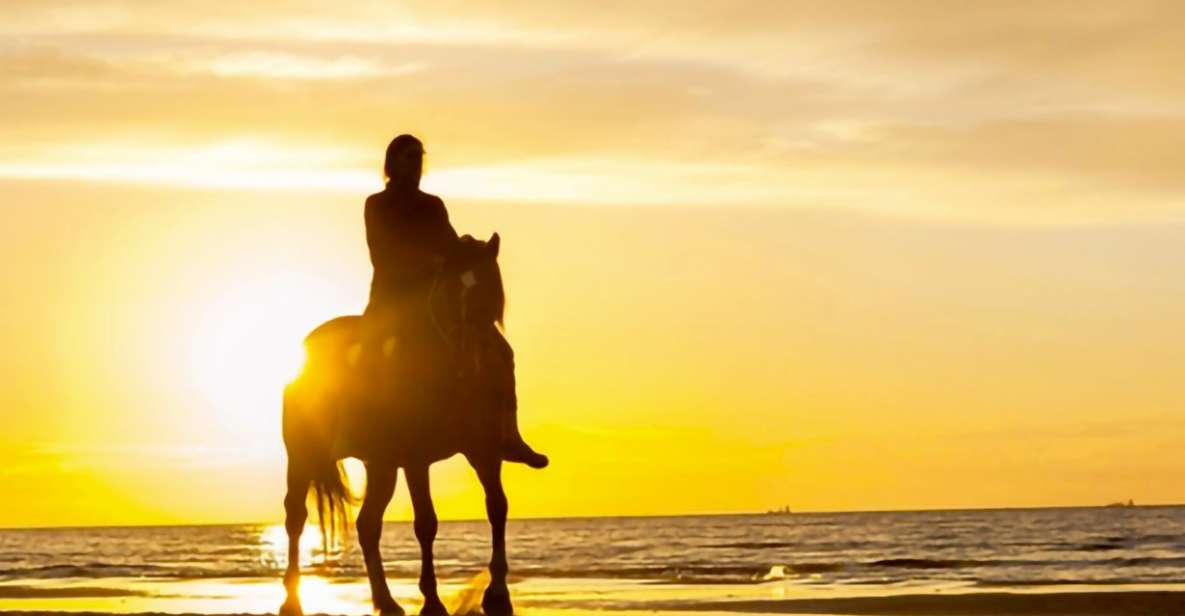 Cartagena: Beach Horseback Riding Tour at Sunset - Customer Reviews