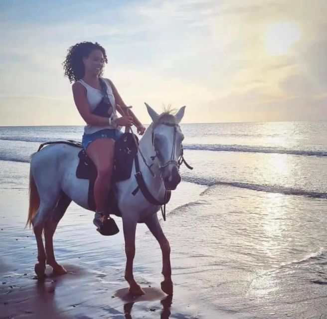 Cartagena: Horseback Ridding Excursion on the Beach - Participant Selection