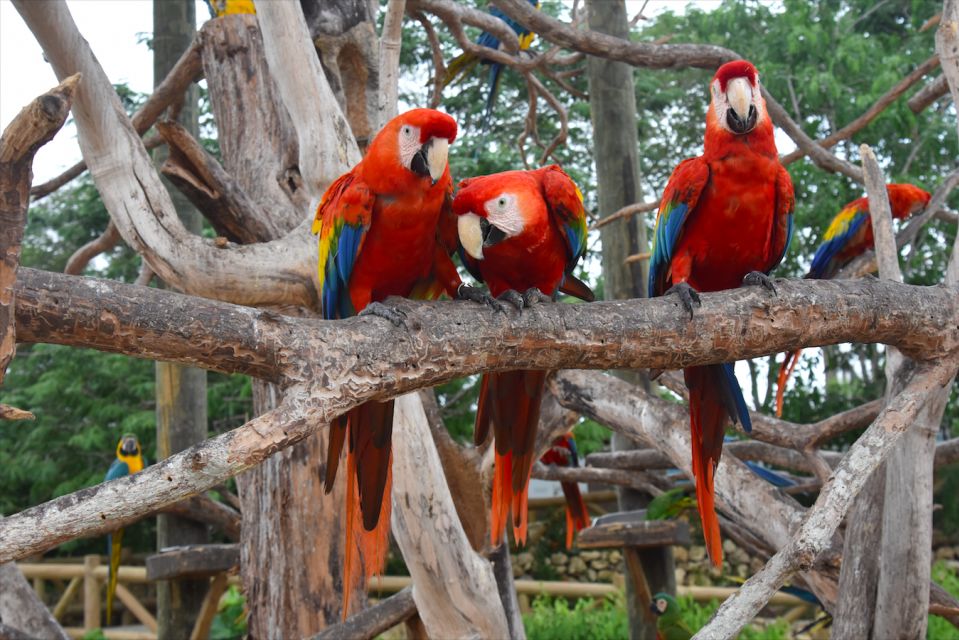 Cartagena: National Aviary of Colombia Entrance Tickets - Inclusions Provided