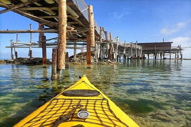 Cavalluccio Kayak Excursion in Fossacesia - Booking Information