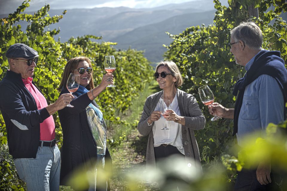 Celorico De Basto: Quinta De Santa Cristina Winery Tour - Wine Tasting Information