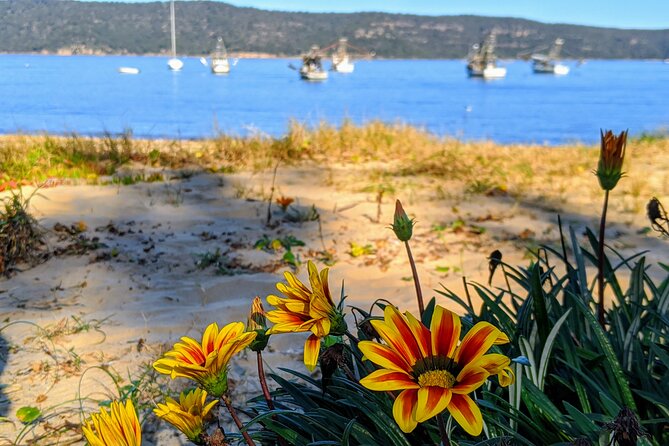 CENTRAL COAST PRIVATE TOUR Waterfalls, Beach Lookouts, Aboriginal Rock Art - Booking Information