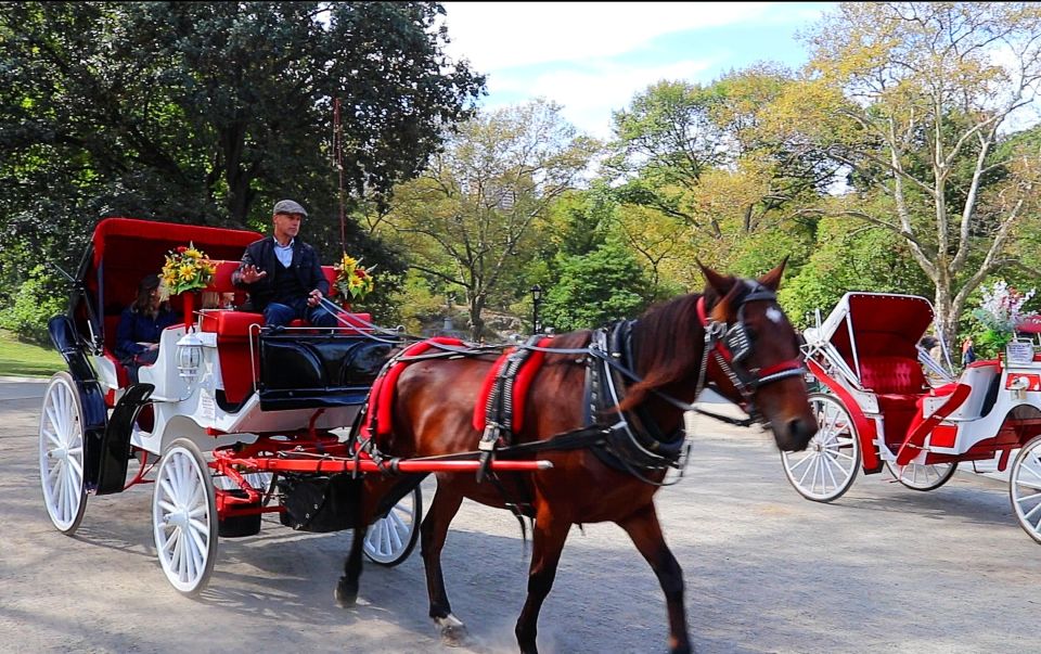 Central Park: Short Horse Carriage Ride (Up to 4 Adults) - Review Summary