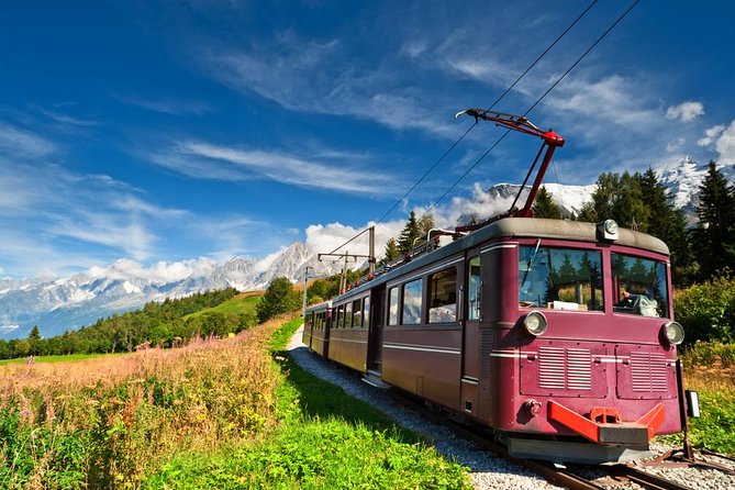 Chamonix and Mont Blanc Private Day Trip From Geneva - Additional Features