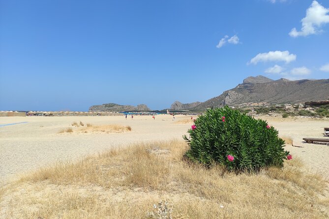 Chania Pink Beaches Private Tour: Elafonisi & Falassarna - Experience Highlights